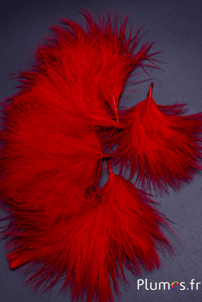 Tacchino marabù-piumino - 4-7 cm - carmino